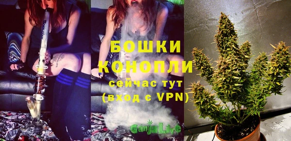 молекула духа Коряжма
